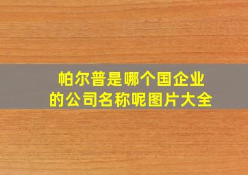 帕尔普是哪个国企业的公司名称呢图片大全