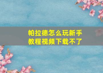 帕拉德怎么玩新手教程视频下载不了