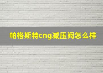 帕格斯特cng减压阀怎么样