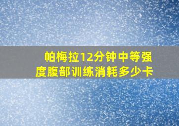 帕梅拉12分钟中等强度腹部训练消耗多少卡