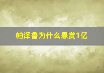 帕泽鲁为什么悬赏1亿