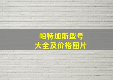 帕特加斯型号大全及价格图片