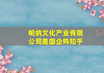 帕纳文化产业有限公司是国企吗知乎