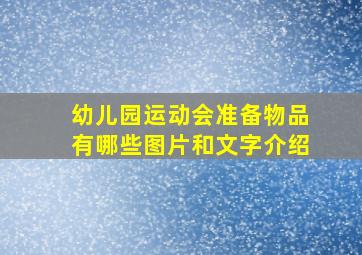 幼儿园运动会准备物品有哪些图片和文字介绍