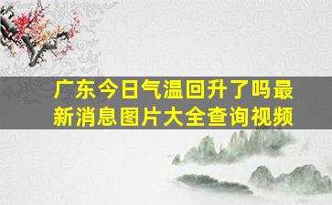 广东今日气温回升了吗最新消息图片大全查询视频