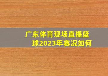 广东体育现场直播篮球2023年赛况如何