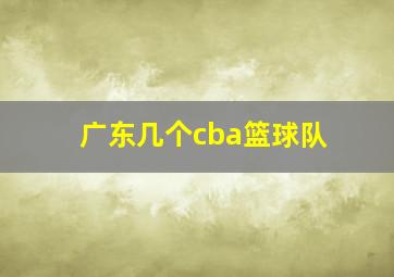 广东几个cba篮球队