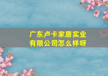 广东卢卡家居实业有限公司怎么样呀