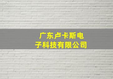 广东卢卡斯电子科技有限公司