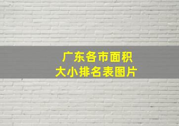 广东各市面积大小排名表图片