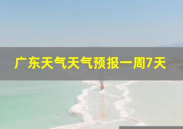 广东天气天气预报一周7天