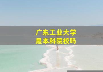 广东工业大学是本科院校吗