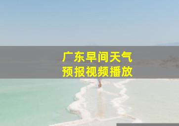 广东早间天气预报视频播放