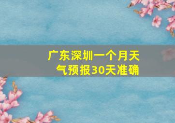 广东深圳一个月天气预报30天准确