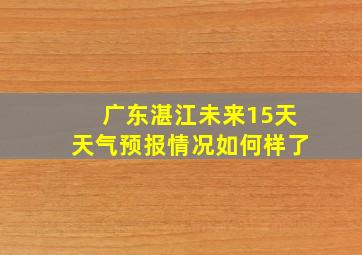 广东湛江未来15天天气预报情况如何样了