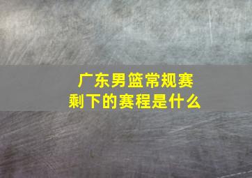 广东男篮常规赛剩下的赛程是什么