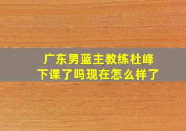 广东男蓝主教练杜峰下课了吗现在怎么样了