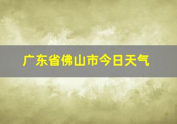 广东省佛山市今日天气