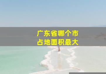 广东省哪个市占地面积最大