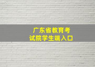 广东省教育考试院学生端入口