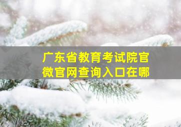 广东省教育考试院官微官网查询入口在哪