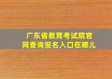 广东省教育考试院官网查询报名入口在哪儿