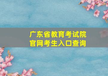 广东省教育考试院官网考生入口查询