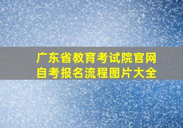 广东省教育考试院官网自考报名流程图片大全