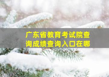 广东省教育考试院查询成绩查询入口在哪