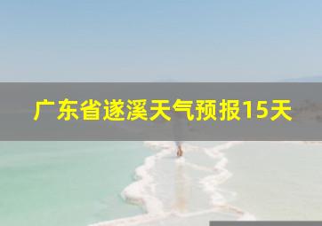 广东省遂溪天气预报15天