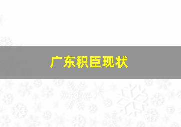 广东积臣现状