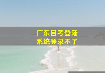 广东自考登陆系统登录不了