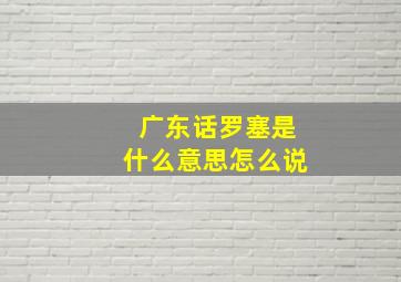 广东话罗塞是什么意思怎么说