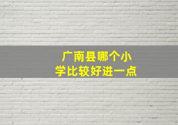 广南县哪个小学比较好进一点