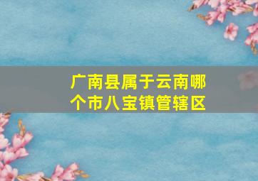 广南县属于云南哪个市八宝镇管辖区