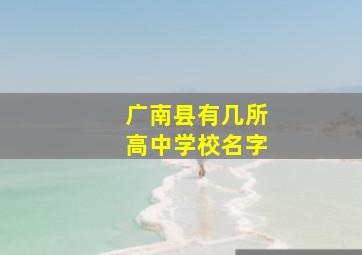 广南县有几所高中学校名字