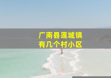 广南县莲城镇有几个村小区