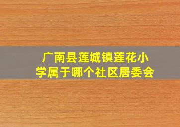 广南县莲城镇莲花小学属于哪个社区居委会