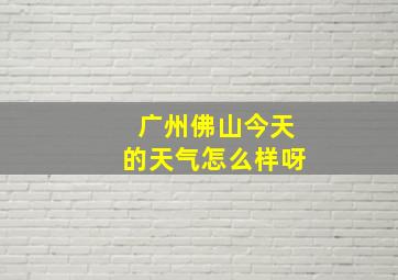 广州佛山今天的天气怎么样呀