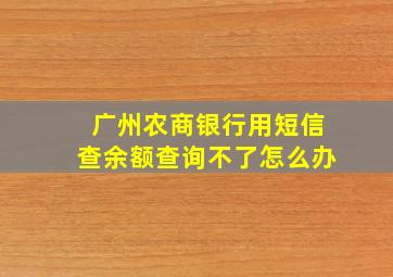 广州农商银行用短信查余额查询不了怎么办