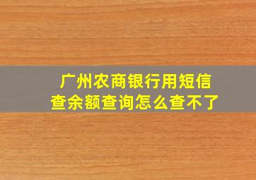 广州农商银行用短信查余额查询怎么查不了