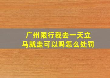 广州限行我去一天立马就走可以吗怎么处罚