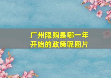 广州限购是哪一年开始的政策呢图片