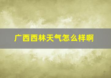 广西西林天气怎么样啊