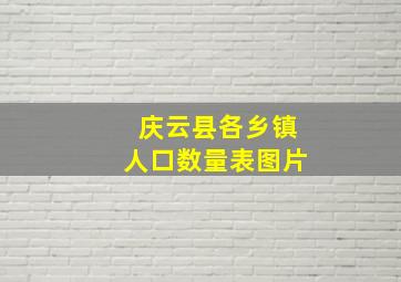 庆云县各乡镇人口数量表图片