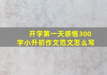 开学第一天感悟300字小升初作文范文怎么写