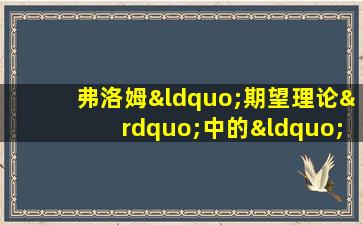 弗洛姆“期望理论”中的“期望值”