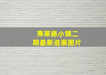 弗莱德小镇二期最新进展图片