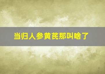 当归人参黄芪那叫啥了