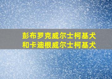 彭布罗克威尔士柯基犬和卡迪根威尔士柯基犬